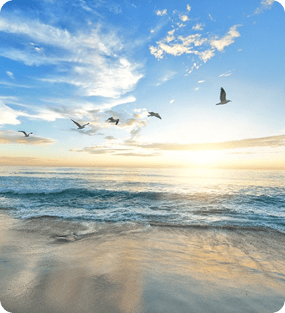 Shimla, Kullu, Manali in Winters